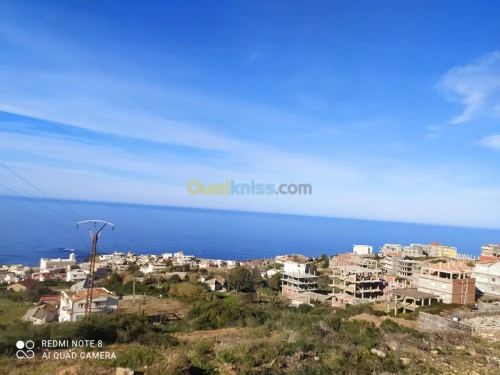Vente Terrain El taref El kala