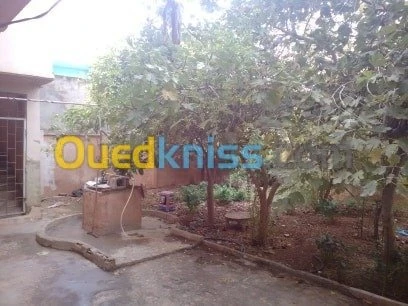 Vente Villa Oran Es senia