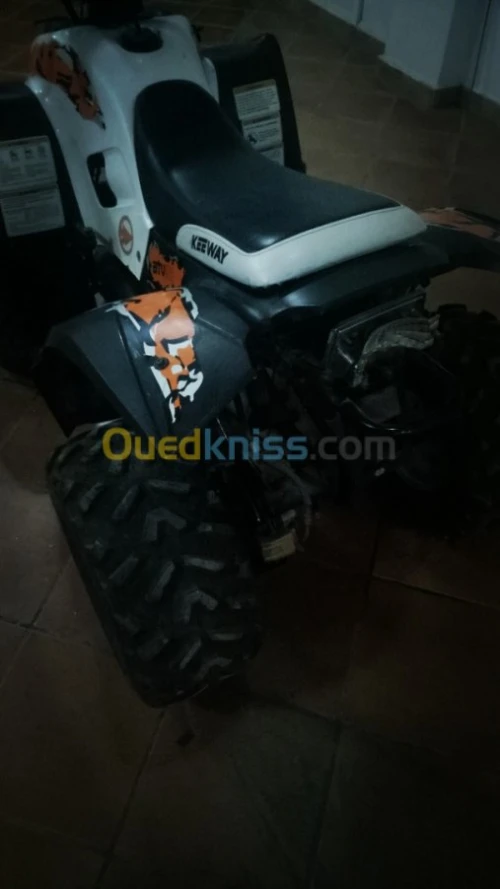 Keeway atv 100  Kwad keeway atv 100