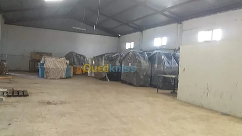 Location Hangar - Usine Mascara Zahana