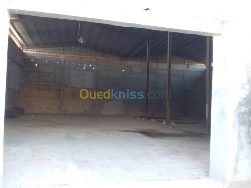 Location Hangar - Usine Mascara Zahana