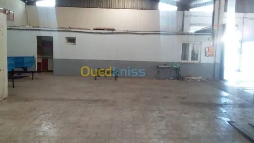 Location Hangar - Usine Mascara Zahana
