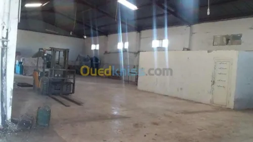 Location Hangar - Usine Mascara Zahana
