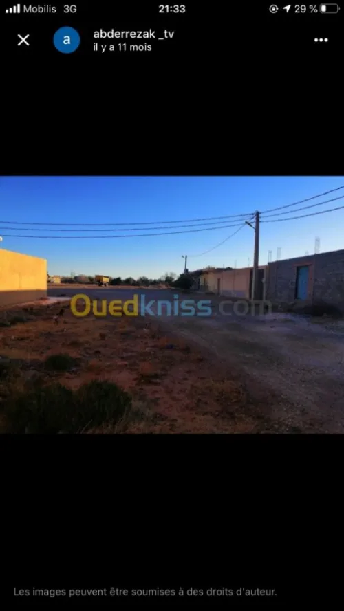 Vente Carcasse Laghouat Ain madhi