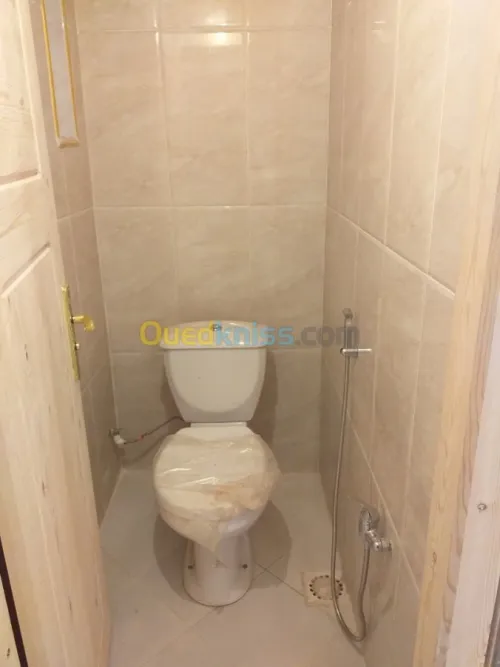 Location Appartement F3 Djelfa Ain oussara