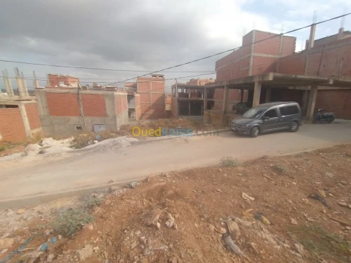 Vente Terrain Tipaza Kolea
