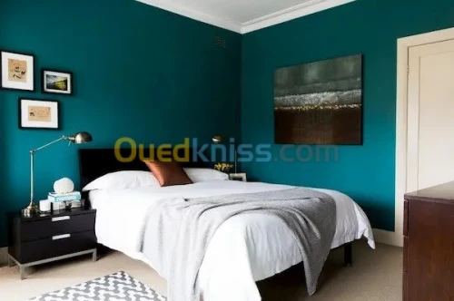 Peintre maison qualifie