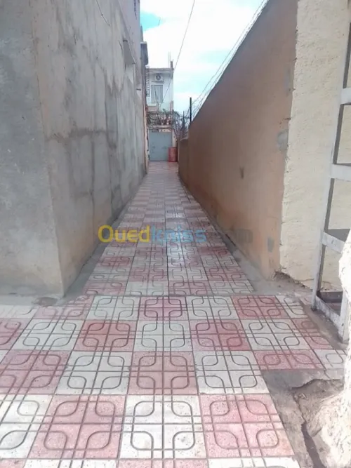 Vente Local Batna El madher