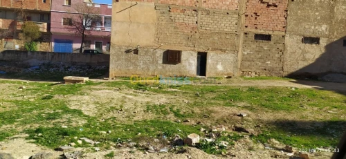 Vente Terrain Saida Saida