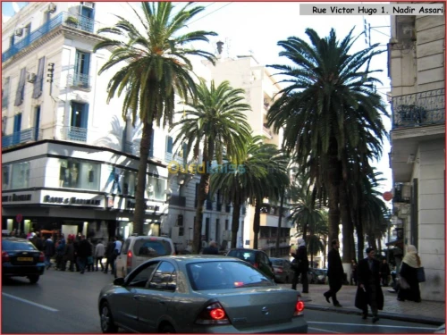 Location vacances Appartement F2 Alger Alger centre