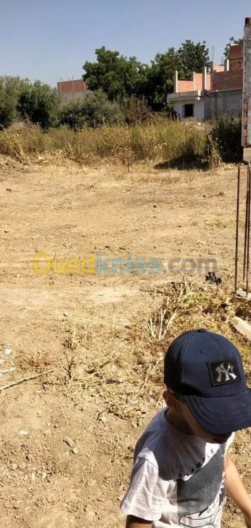Vente Terrain Blida Boufarik