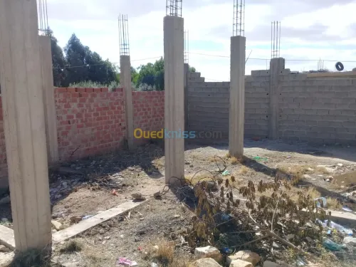 Vente bien immobilier Tebessa Bir el ater