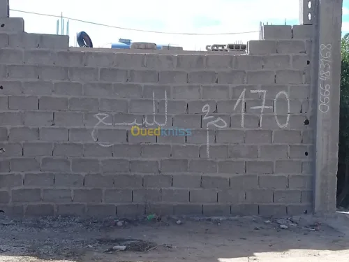 Vente bien immobilier Tebessa Bir el ater
