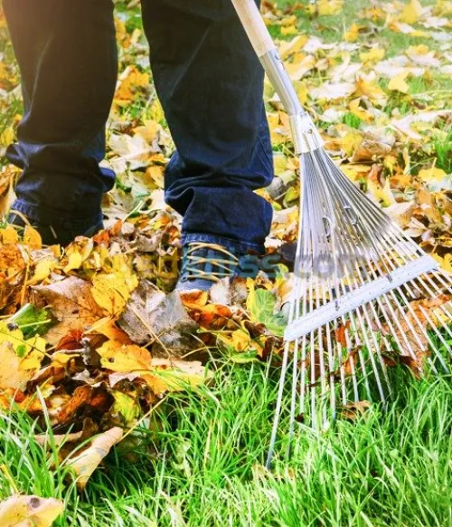 Jardinage