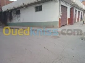 Vente Local Batna Ras el aioun