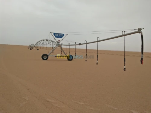 Location Terrain Agricole Ouargla Ouargla