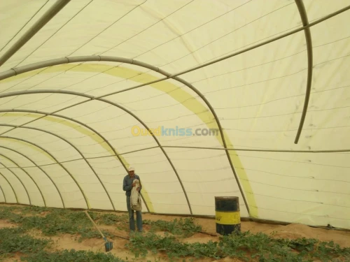 Location Terrain Agricole Ouargla Ouargla