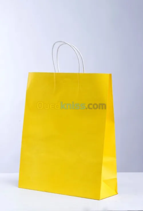 Sac en Papier TNT Plastique