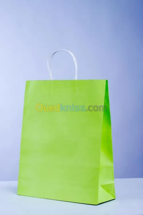 Sac en Papier TNT Plastique