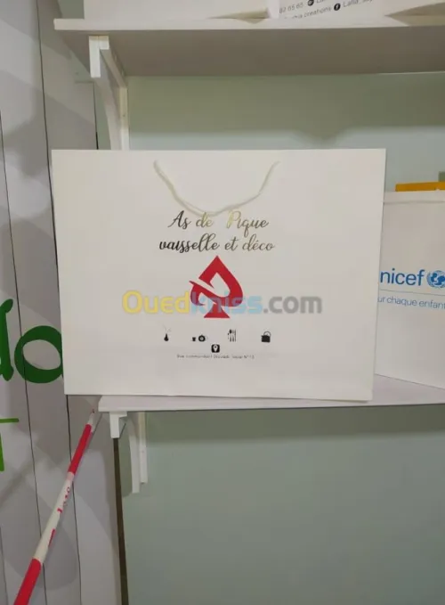 Sac en Papier TNT Plastique