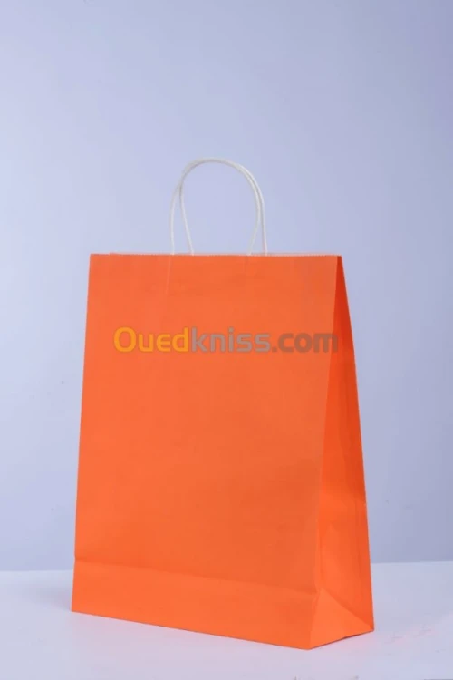 Sac en Papier TNT Plastique