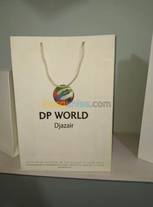 Sac en Papier TNT Plastique