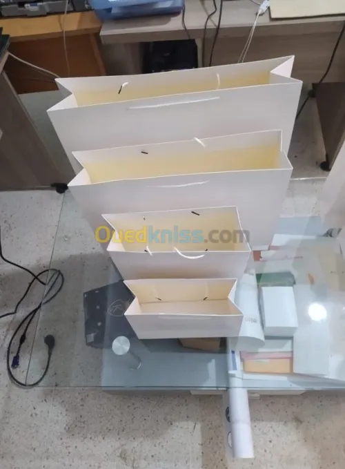 Sac en Papier TNT Plastique