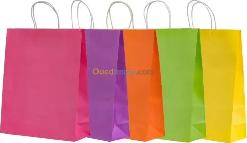 Sac en Papier TNT Plastique