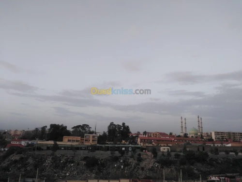 Vente Terrain Blida Blida