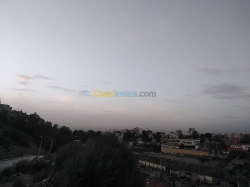 Vente Terrain Blida Blida