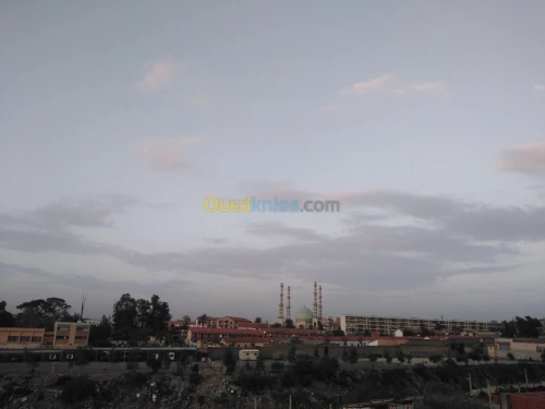 Vente Terrain Blida Blida