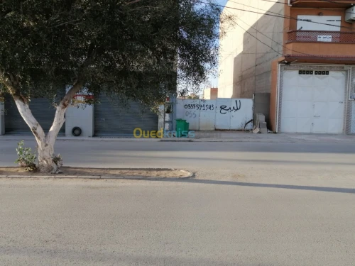 Vente Villa Batna Barika