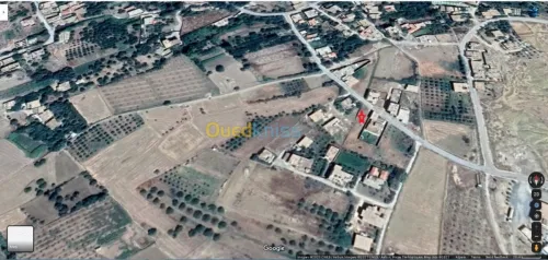 Vente Terrain Batna Ngaous