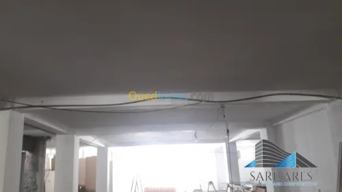 Travaux de Peinture et decoration 