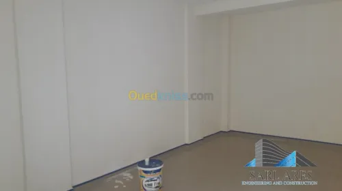 Travaux de Peinture et decoration 