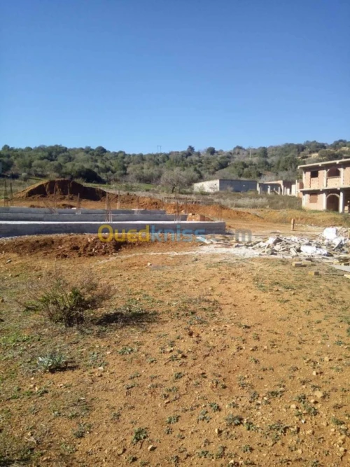 Vente Terrain Tipaza Sidi amar