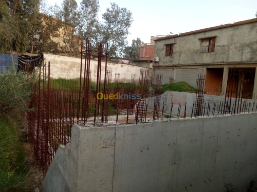Vente Terrain Skikda Skikda
