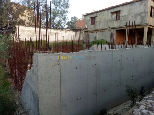 Vente Terrain Skikda Skikda