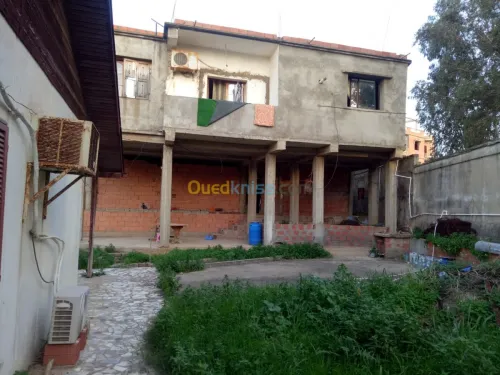Vente Terrain Skikda Skikda