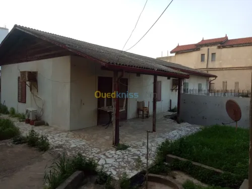 Vente Terrain Skikda Skikda