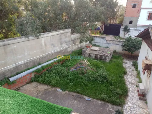 Vente Terrain Skikda Skikda
