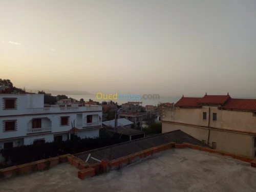 Vente Terrain Skikda Skikda