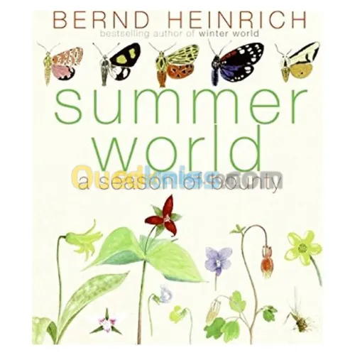 Summer World: A Season of Bounty
