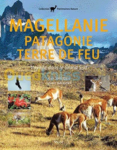 Magellanie Patagonie Terre de Feu : Voyage dans le Grand Sud