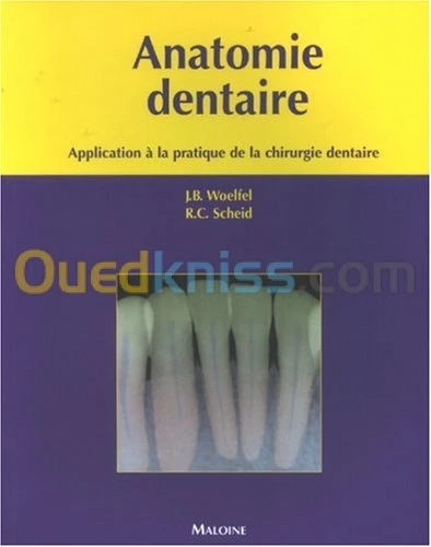 Anatomie Dentaire application à la pratique de la chirurgie dentaire