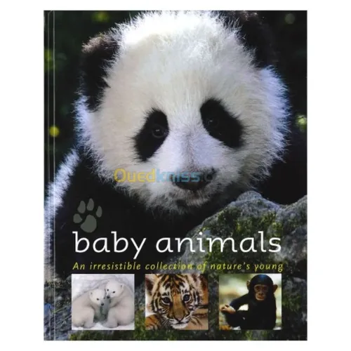 Baby Animals: An Irresistible Collection of Nature's Young