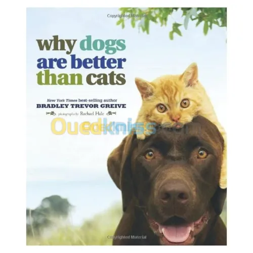 Why Dogs Are Better Than Cats