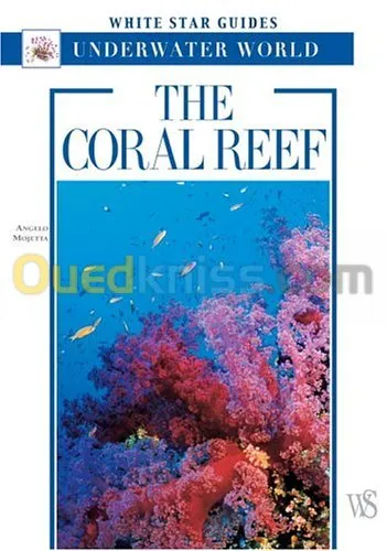 The Coral Reef