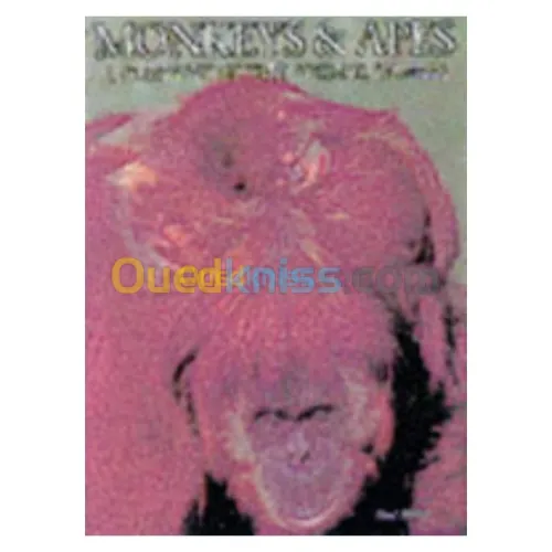 Monkeys & Apes: A Portrait of the Animal World