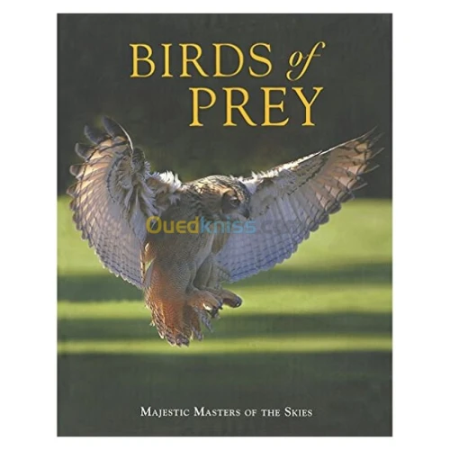 Birds of Prey